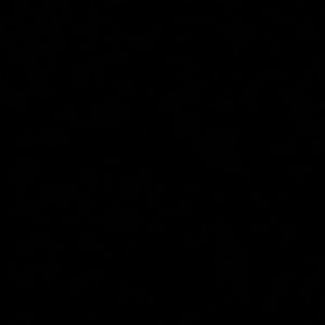 Meet your Posher, Nico